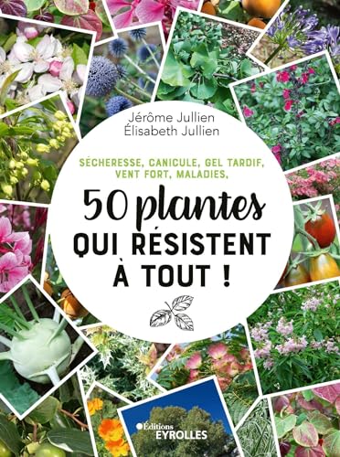 50 PLANTES QUI RÉSISTENT À TOUT !